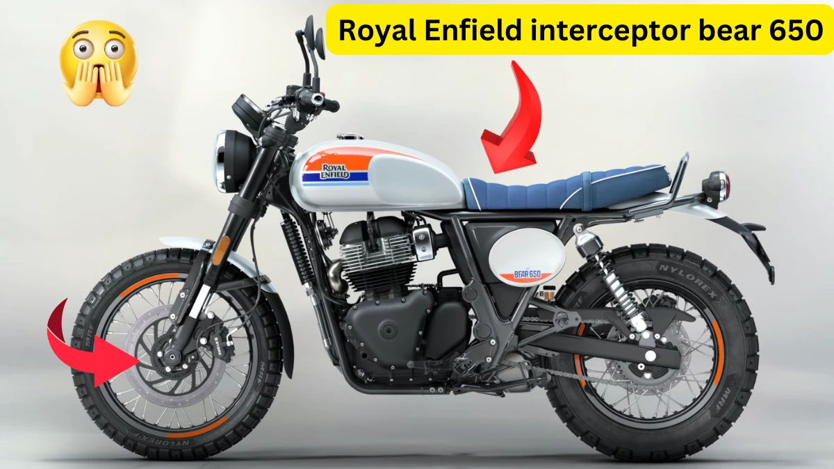 interceptor bear 650